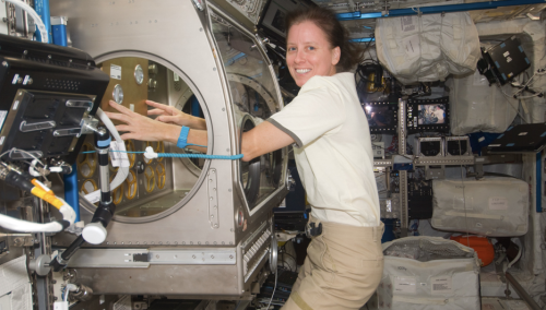 Astronaut Shannon Walker on Space Station using glovebox. Credit: NASA